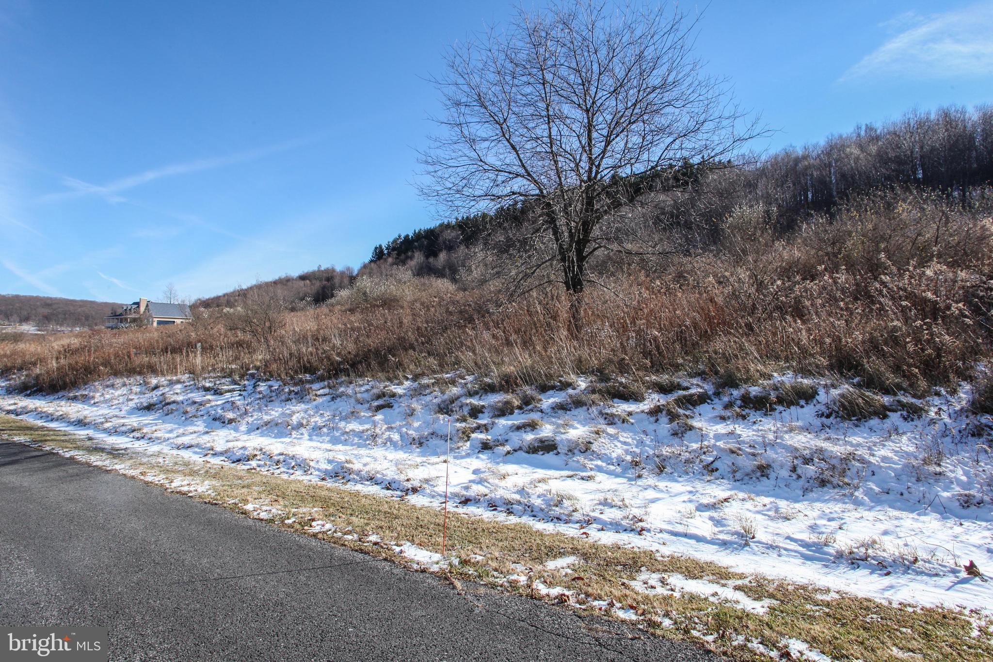 27 Settlers Pass McHenry, MD 21541 - Photo 8 of 17