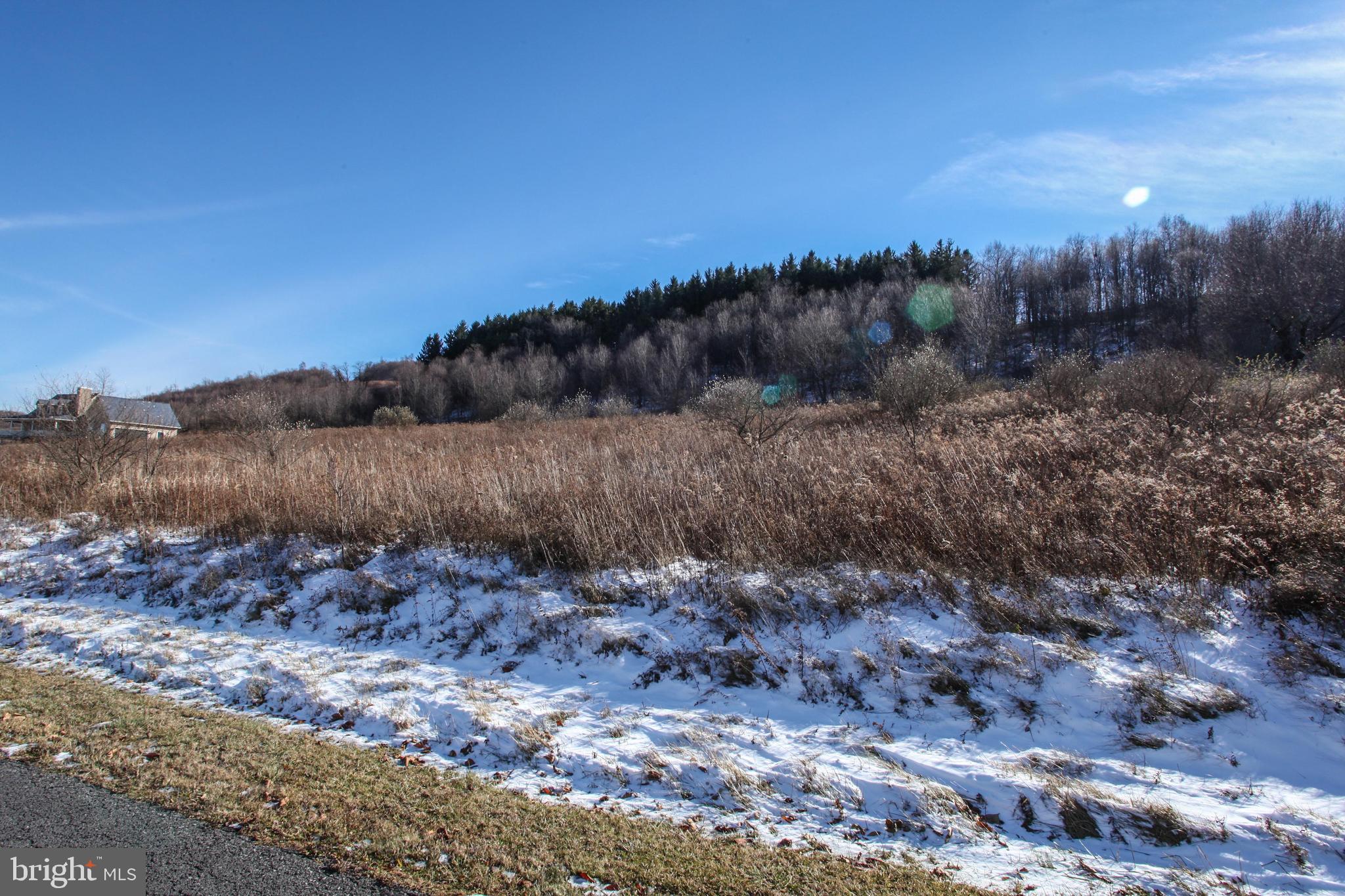 27 Settlers Pass McHenry, MD 21541 - Photo 10 of 17