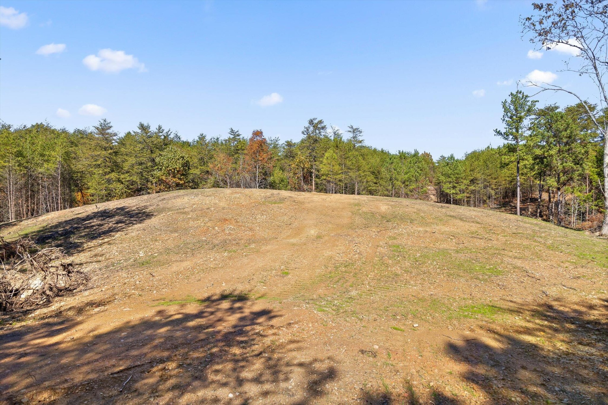 922 Conniston Road Chatsworth, GA 30705 - Photo 7 of 33 Gallery Image 7