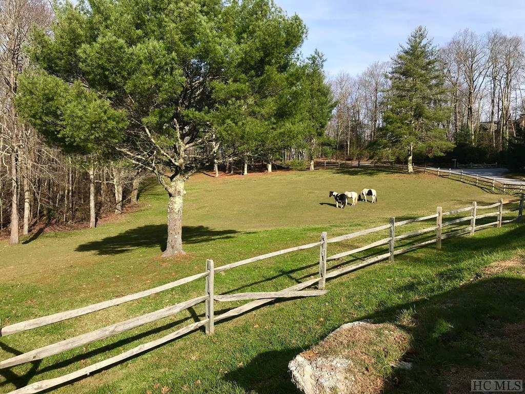 Lot D50 Springwater Road Glenville, NC 28736 - Photo 32 of 33 Gallery Image 32