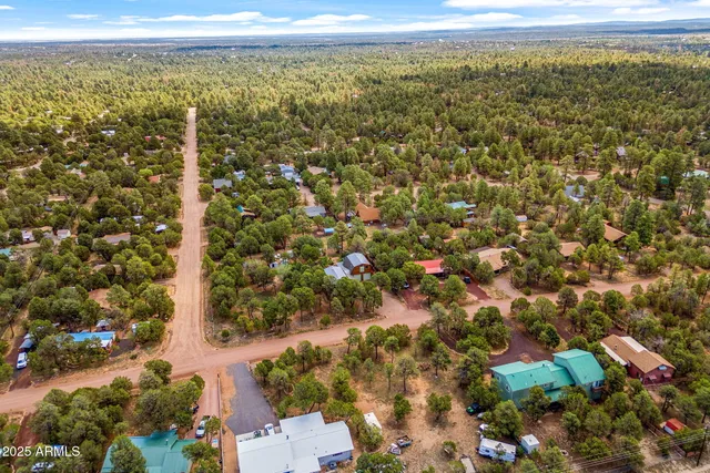 an aerial view of a house with a yard and potted plants