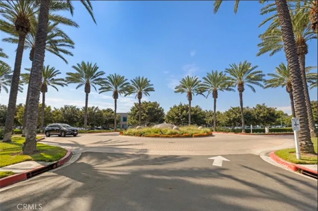 a view of a yard with palm trees