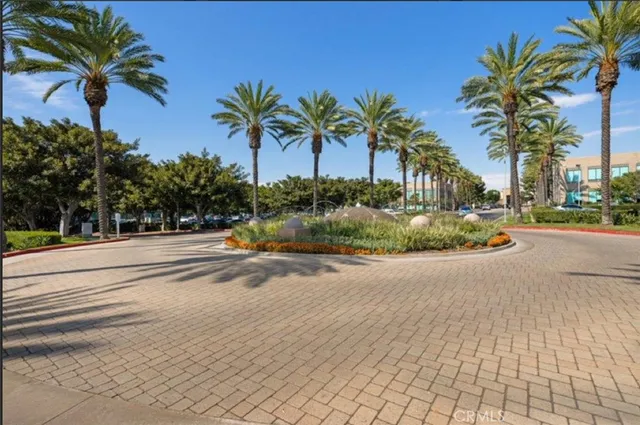 a palm tree sitting on a sidewalk next to a road