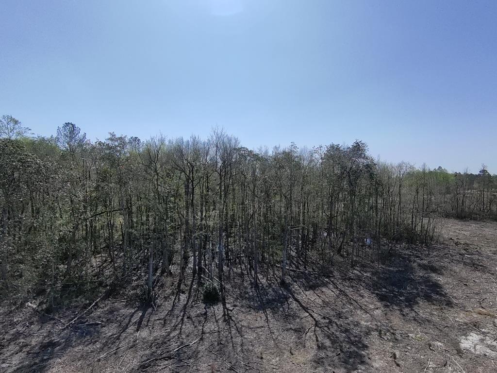 87 Highway 87 Samson, AL 36477 - Photo 17 of 47