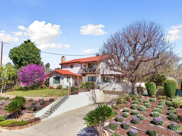 a view of a yard with plants