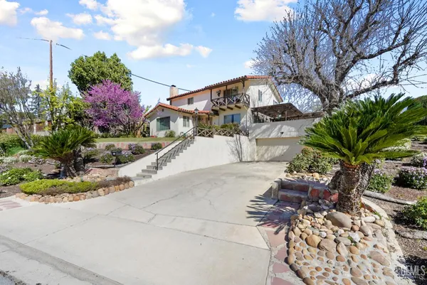 a view of a backyard with potted plants and large trees