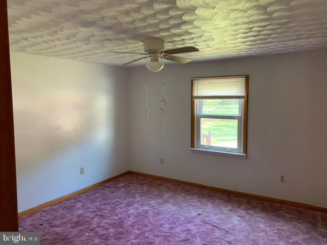 8426 Neck Road Williamsport, MD 21795 - Photo 20 of 21 Gallery Image 20