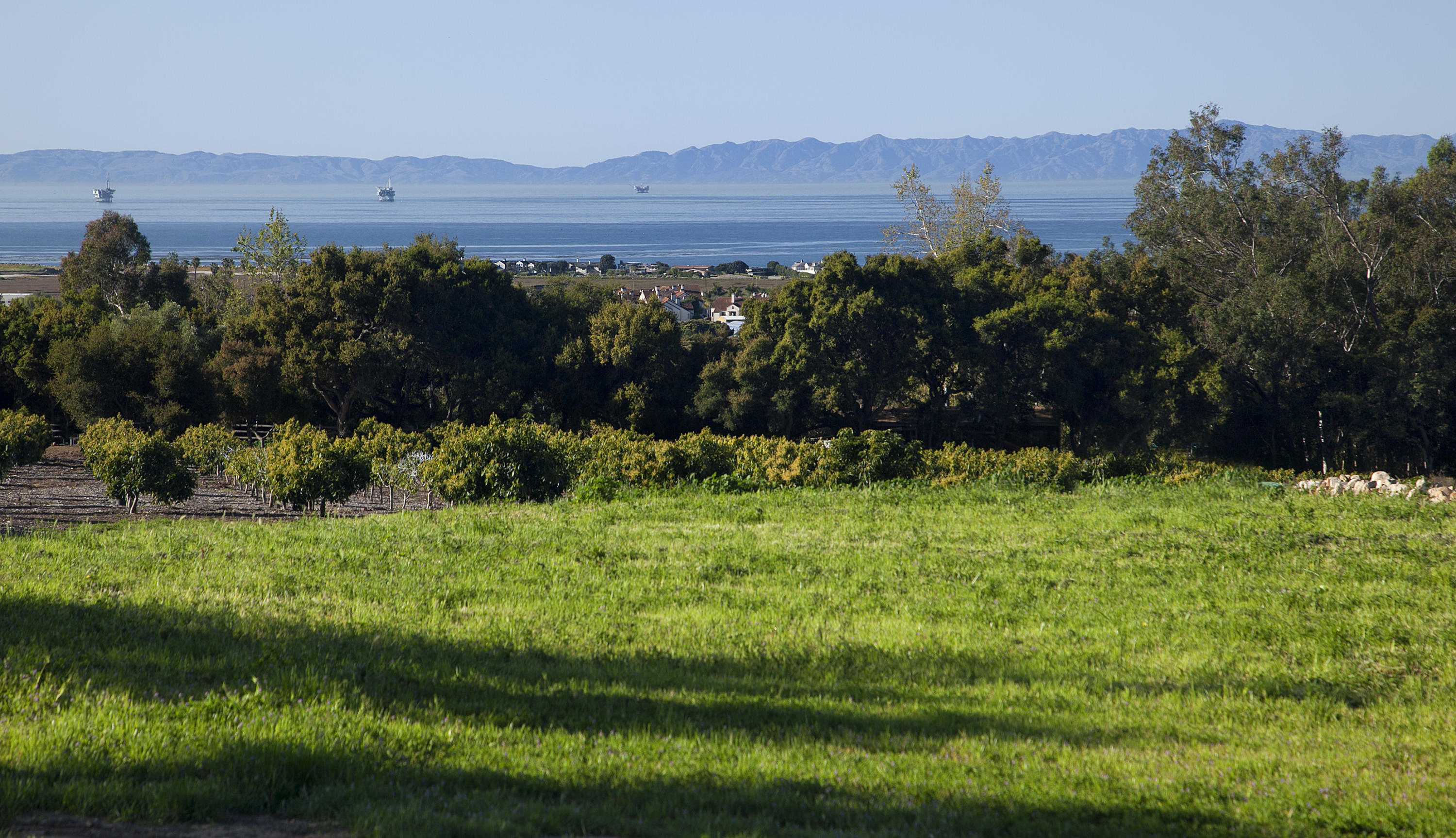 1937 Monte Alegre Drive Carpinteria, CA 93013 - Photo 1 of 7 a view of a garden