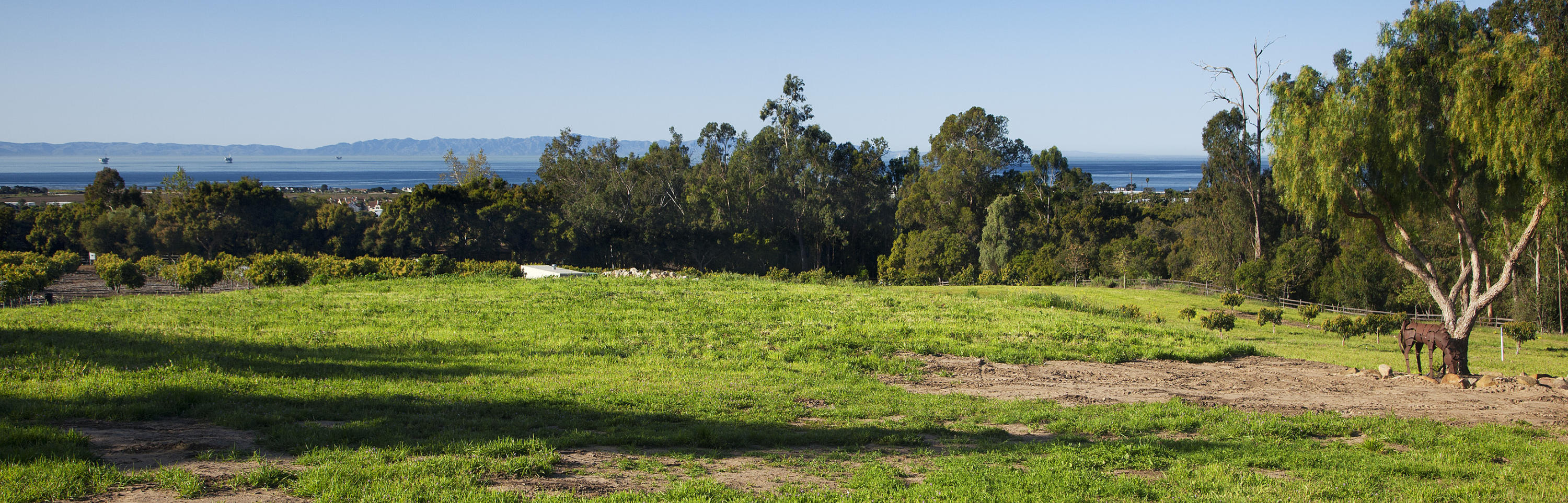 1937 Monte Alegre Drive Carpinteria, CA 93013 - Photo 2 of 7 a view of a bunch of trees and bushes