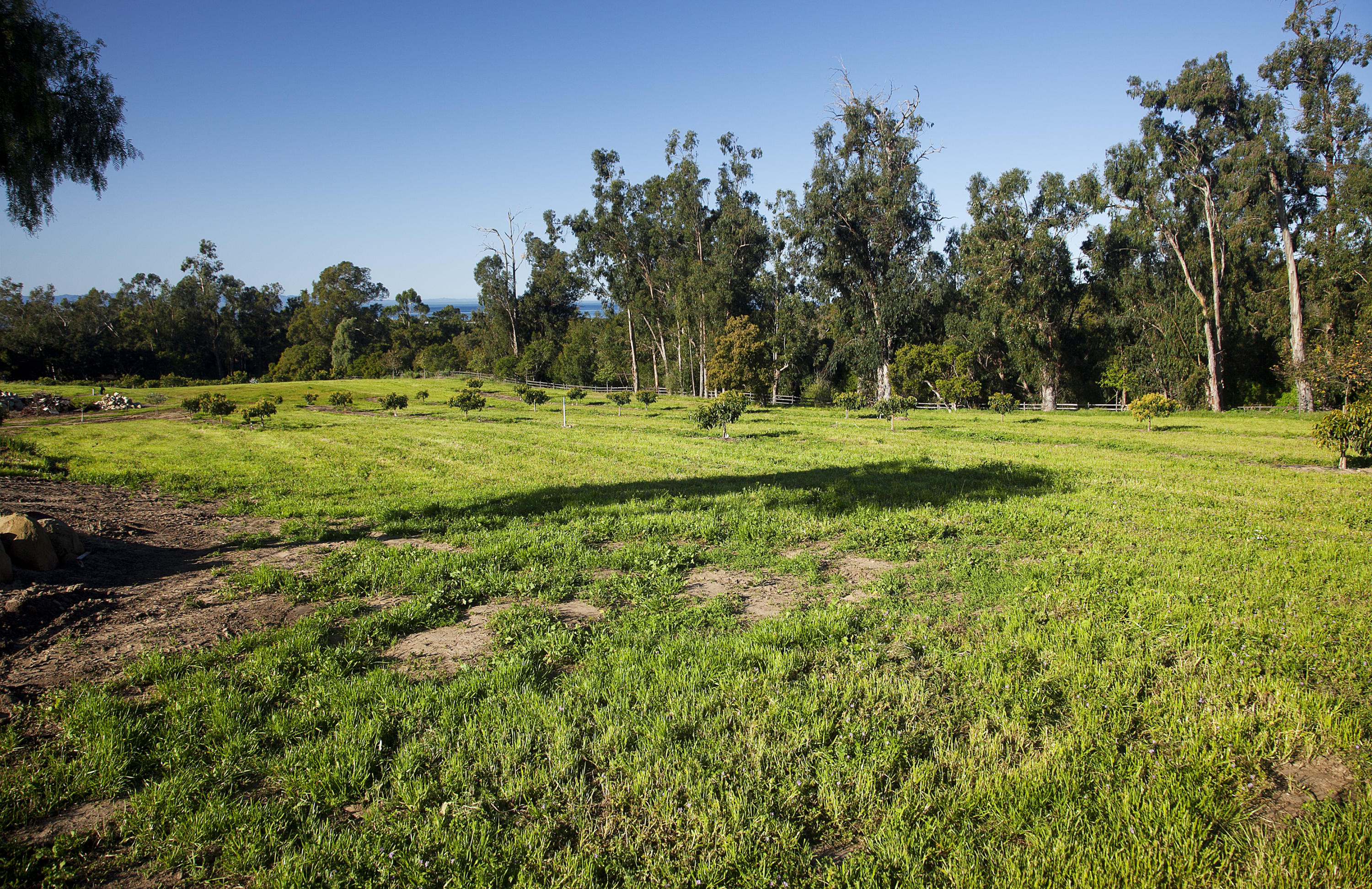 1937 Monte Alegre Drive Carpinteria, CA 93013 - Photo 3 of 7 a view of a golf course with green space