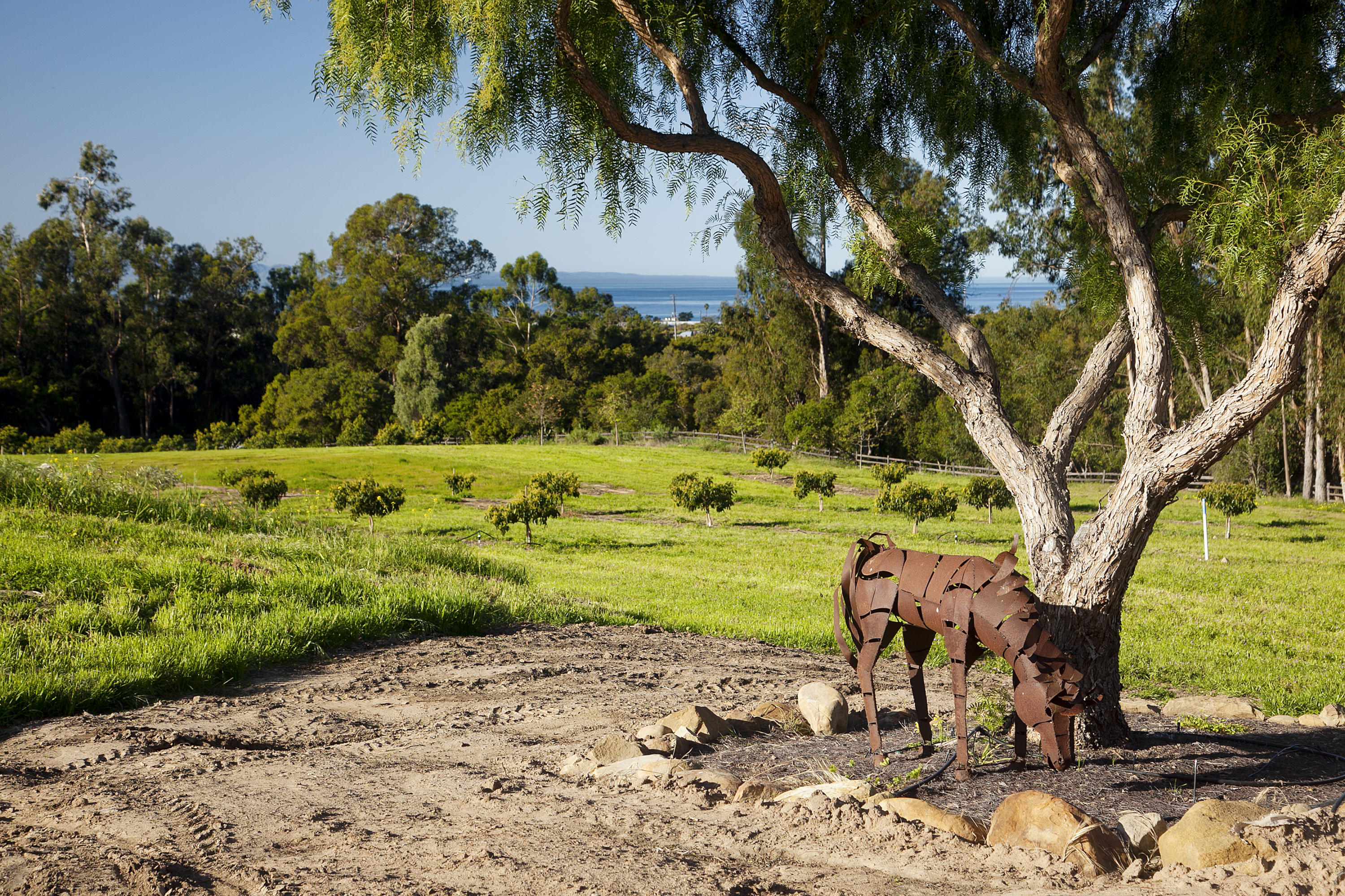 1937 Monte Alegre Drive Carpinteria, CA 93013 - Photo 4 of 7 a view of a park with a tree