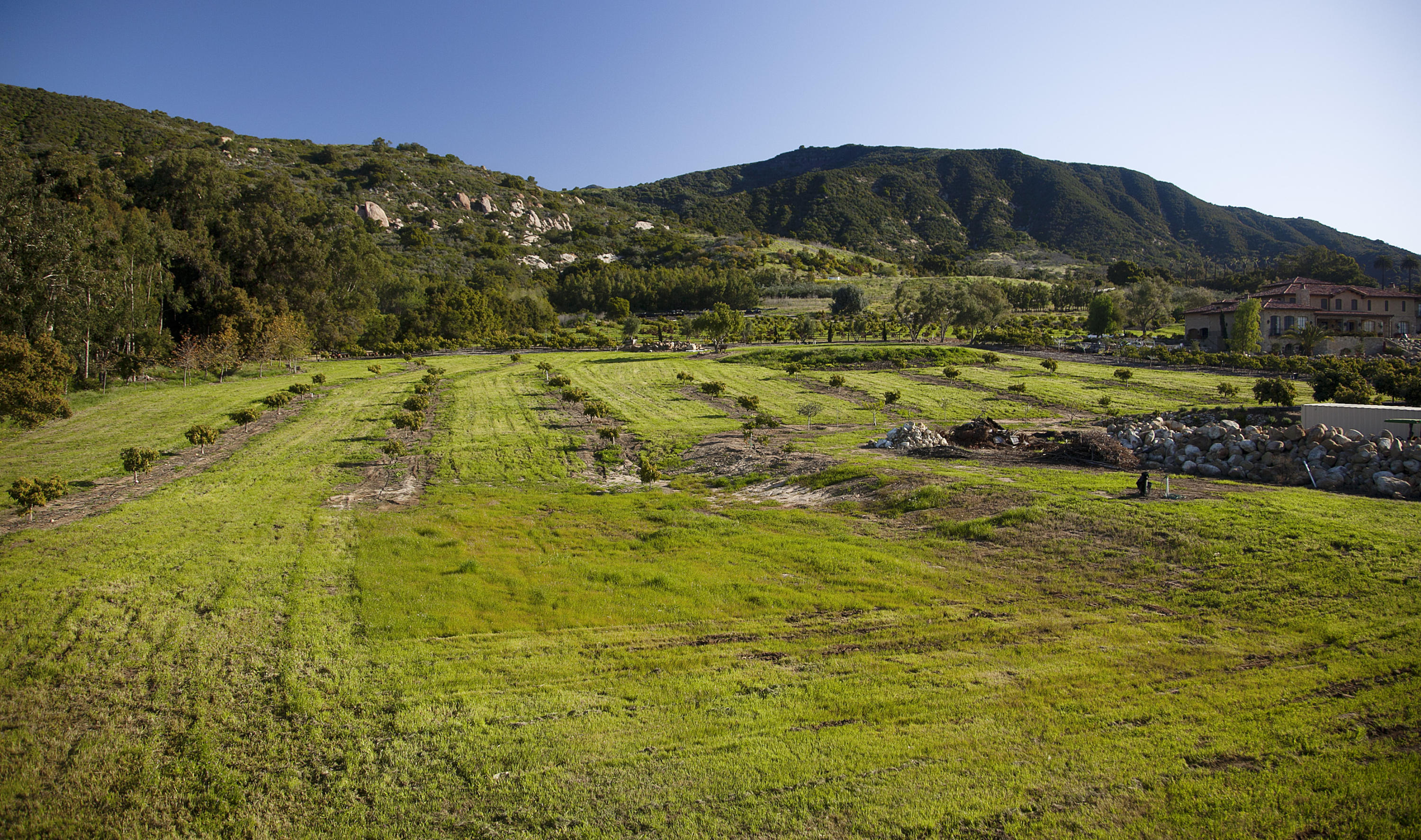 1937 Monte Alegre Drive Carpinteria, CA 93013 - Photo 5 of 7 a view of an aerial view of residential houses with outdoor space and trees