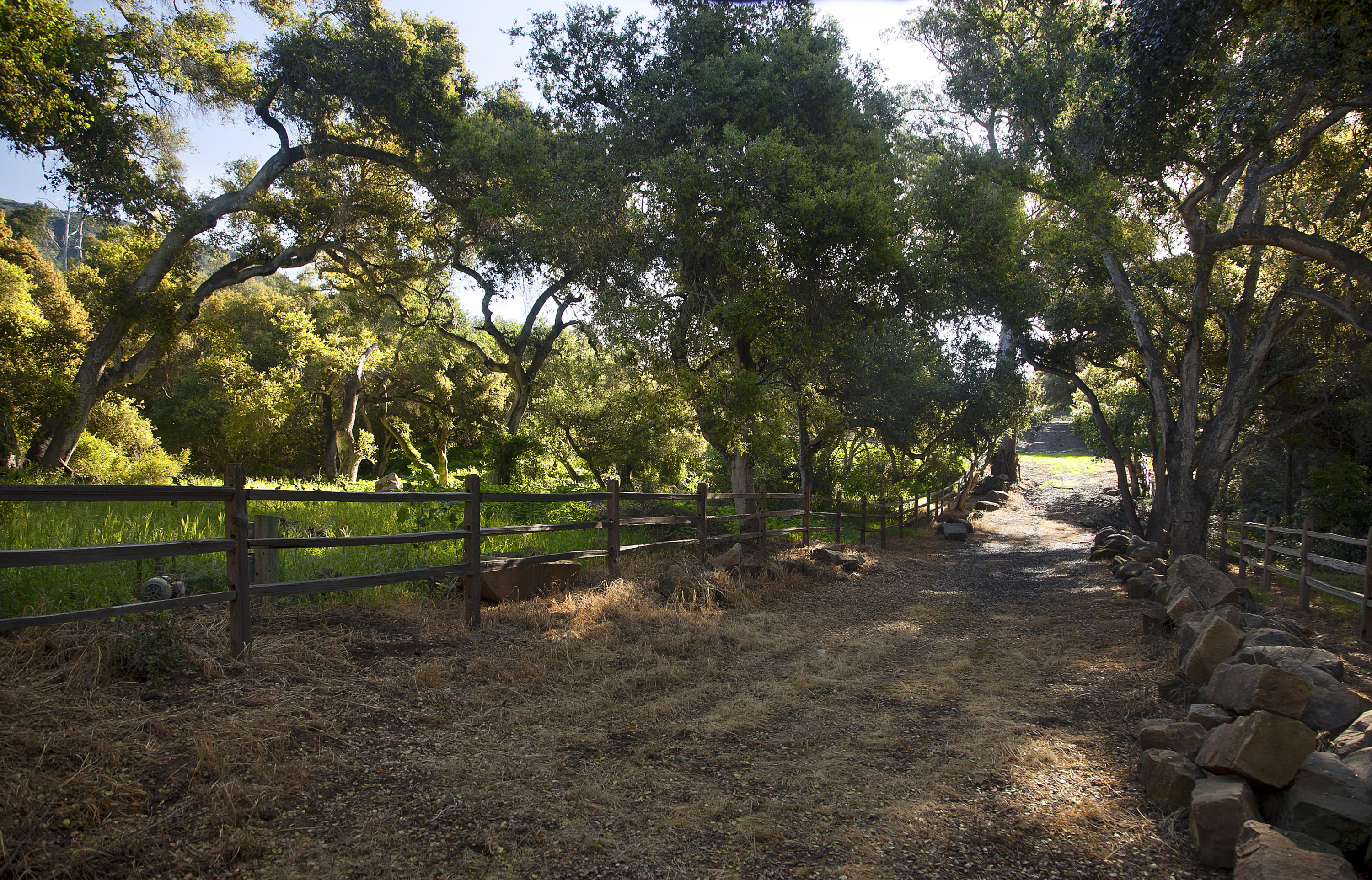 1937 Monte Alegre Drive Carpinteria, CA 93013 - Photo 7 of 7 a view of backyard with green space