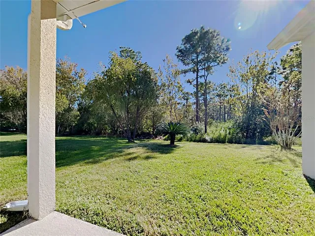 a view of a yard with a tree