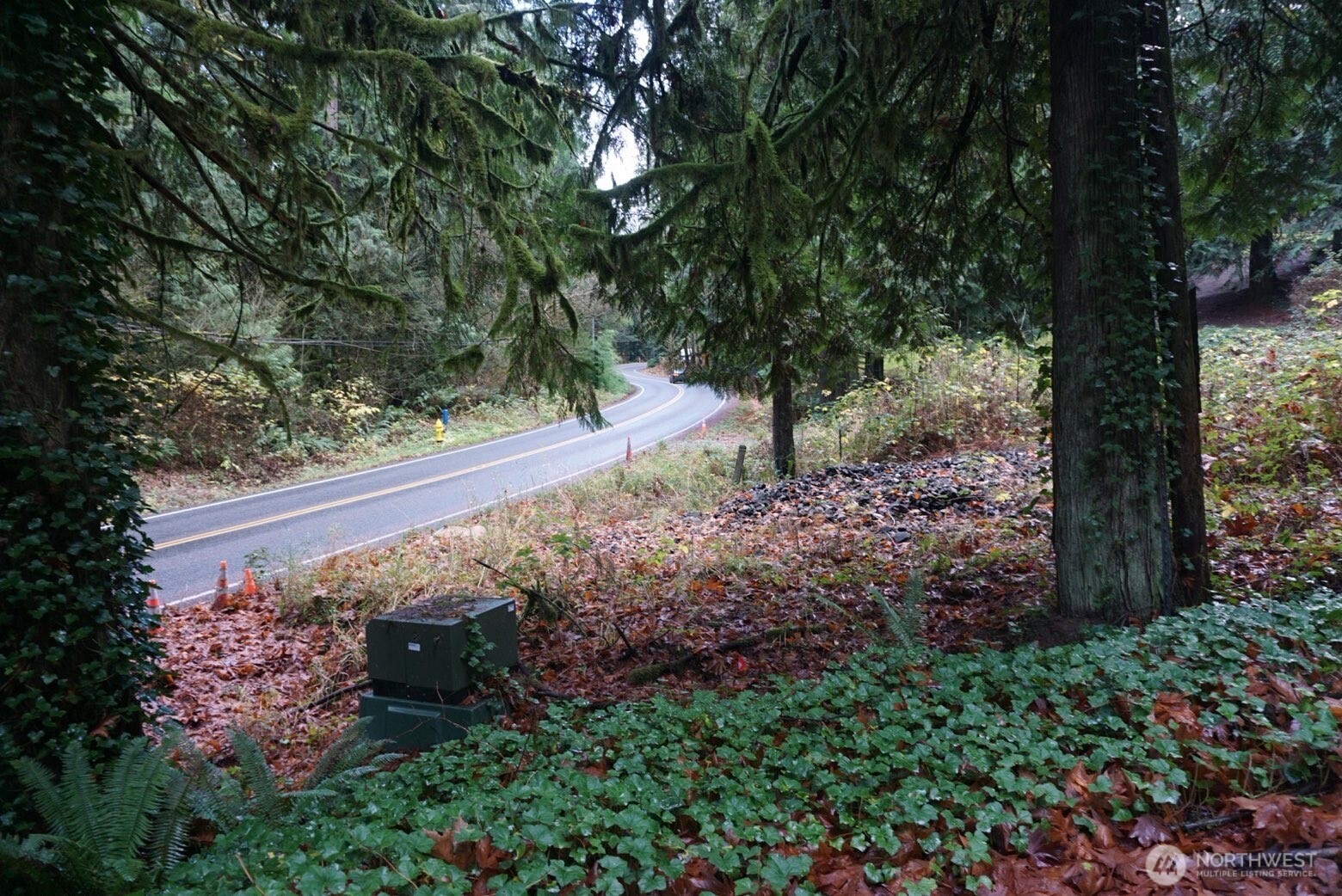 4703 Ames Lake-Carnation Road Northeast Redmond, WA 98053 - Photo 11 of 21 a view of a yard with plants and large trees