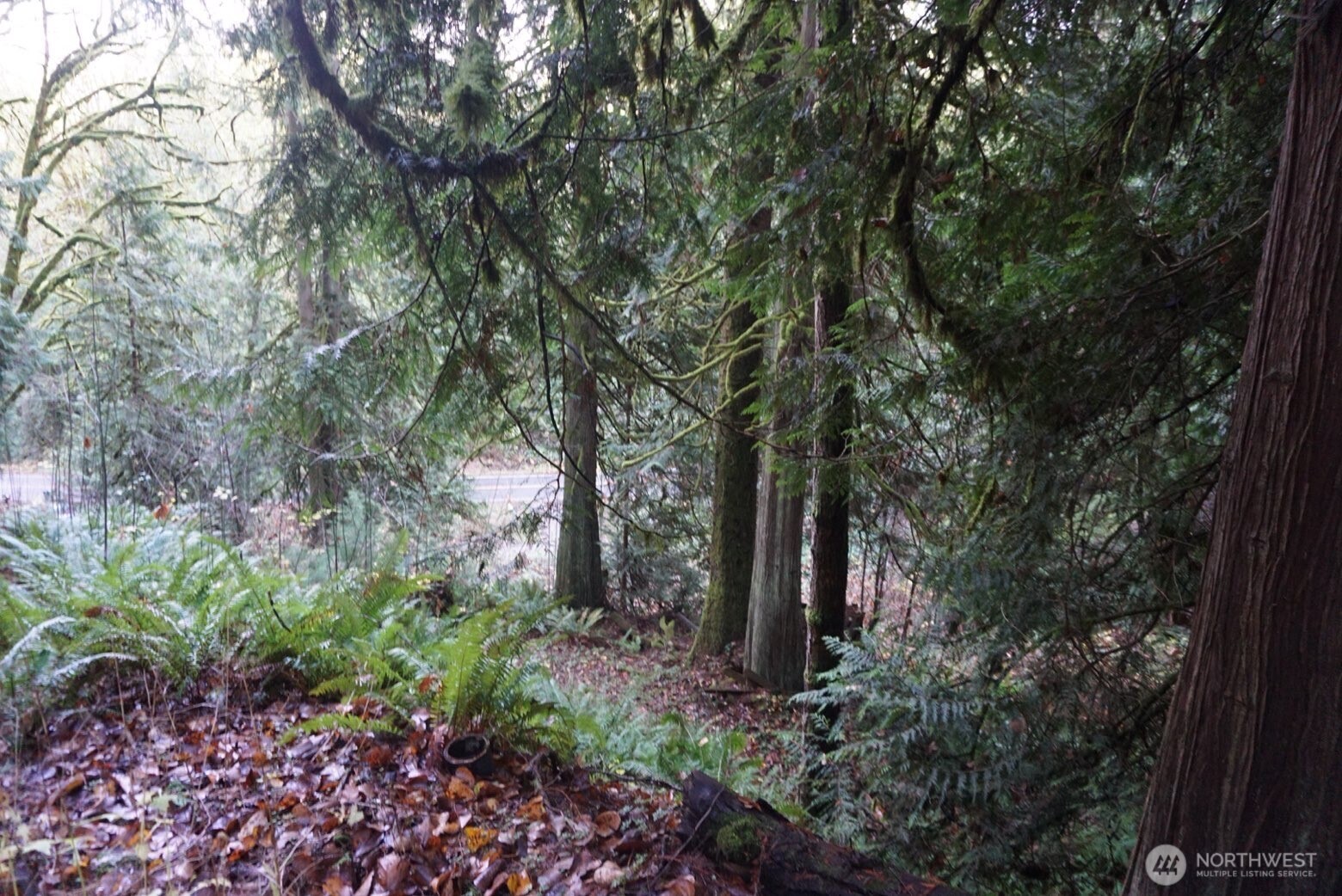 4703 Ames Lake-Carnation Road Northeast Redmond, WA 98053 - Photo 12 of 21 a view of outdoor space and garden