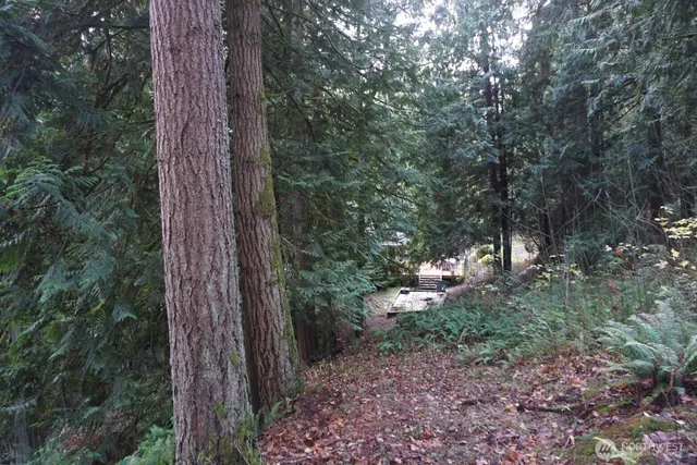 a backyard of a house with lots of green space