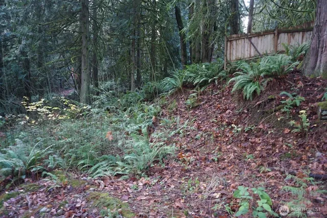a view of a garden with plants and a bench