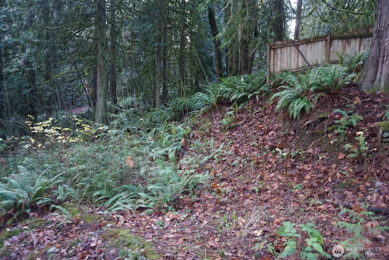 4703 Ames Lake-Carnation Road Northeast Redmond, WA 98053 - Photo 16 of 21 a view of a garden with plants and a bench