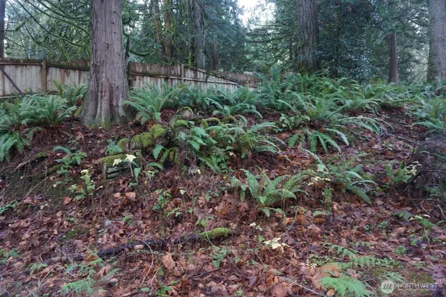 a view of backyard with green space