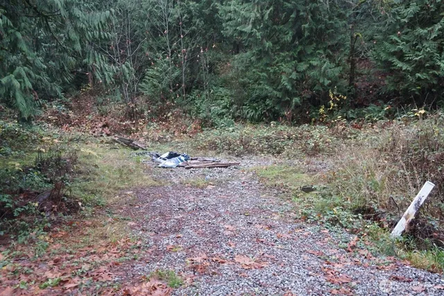 a view of a yard with plants and trees
