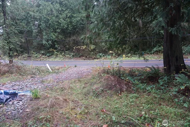 a view of outdoor space with trees all around