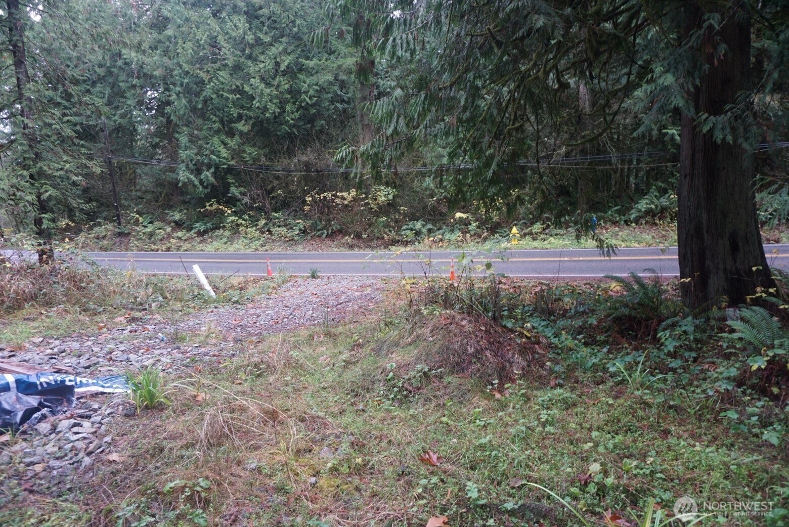 4703 Ames Lake-Carnation Road Northeast Redmond, WA 98053 - Photo 5 of 21 a view of outdoor space with trees all around