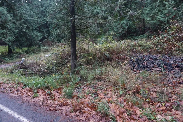 a view of a large yard with lots of green space