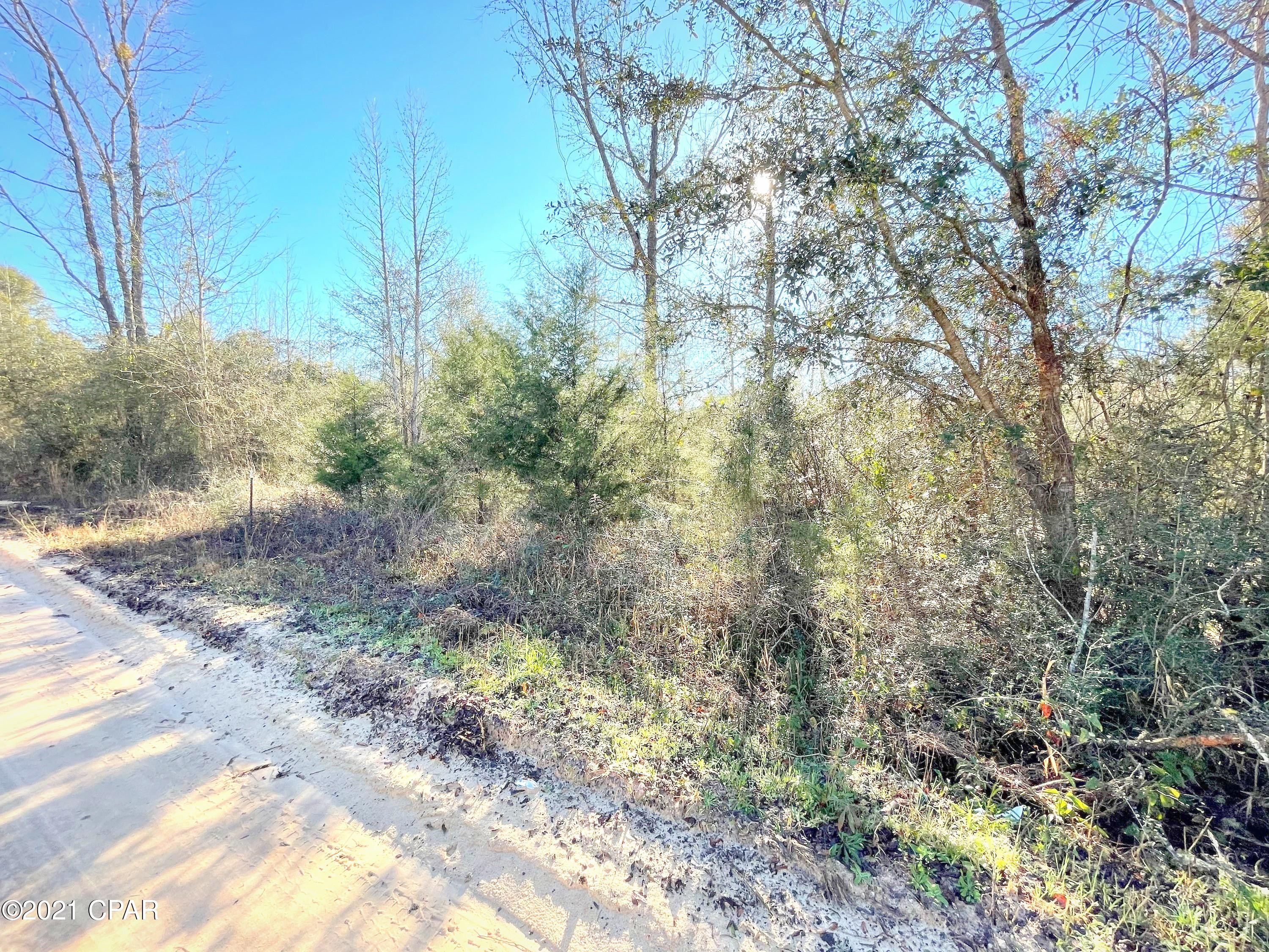 Xxx Tobe Retherford Road Bonifay, FL 32425 - Photo 1 of 3 Gallery Image 1