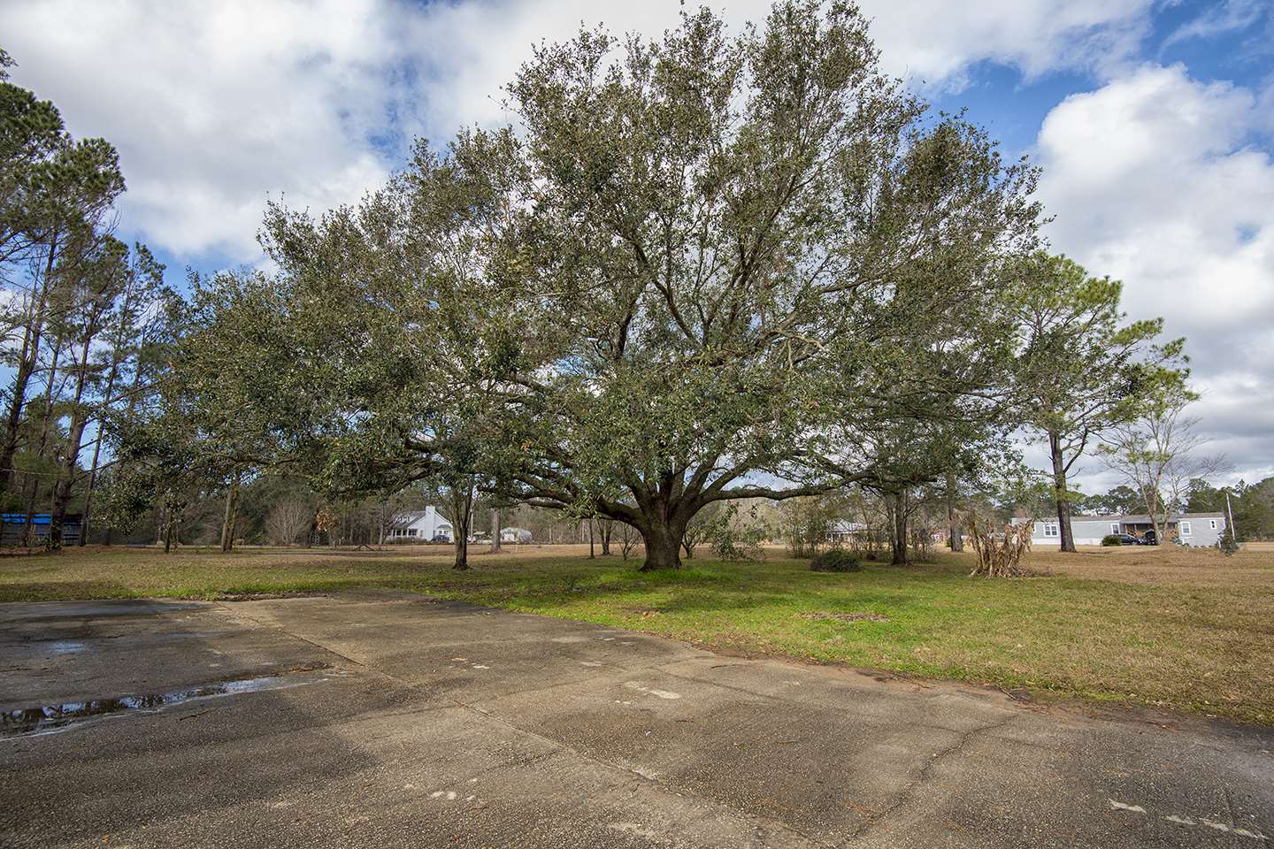 16677 Thompson Road Loxley, AL 36551 - Photo 29 of 31 Shady backyard