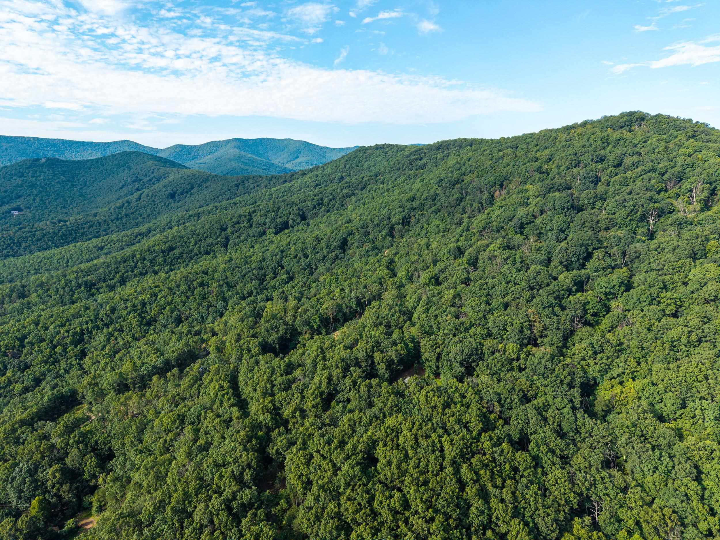0 Roundhead Mountain Road Stanley, VA 22851 - Photo 14 of 43 Gallery Image 14