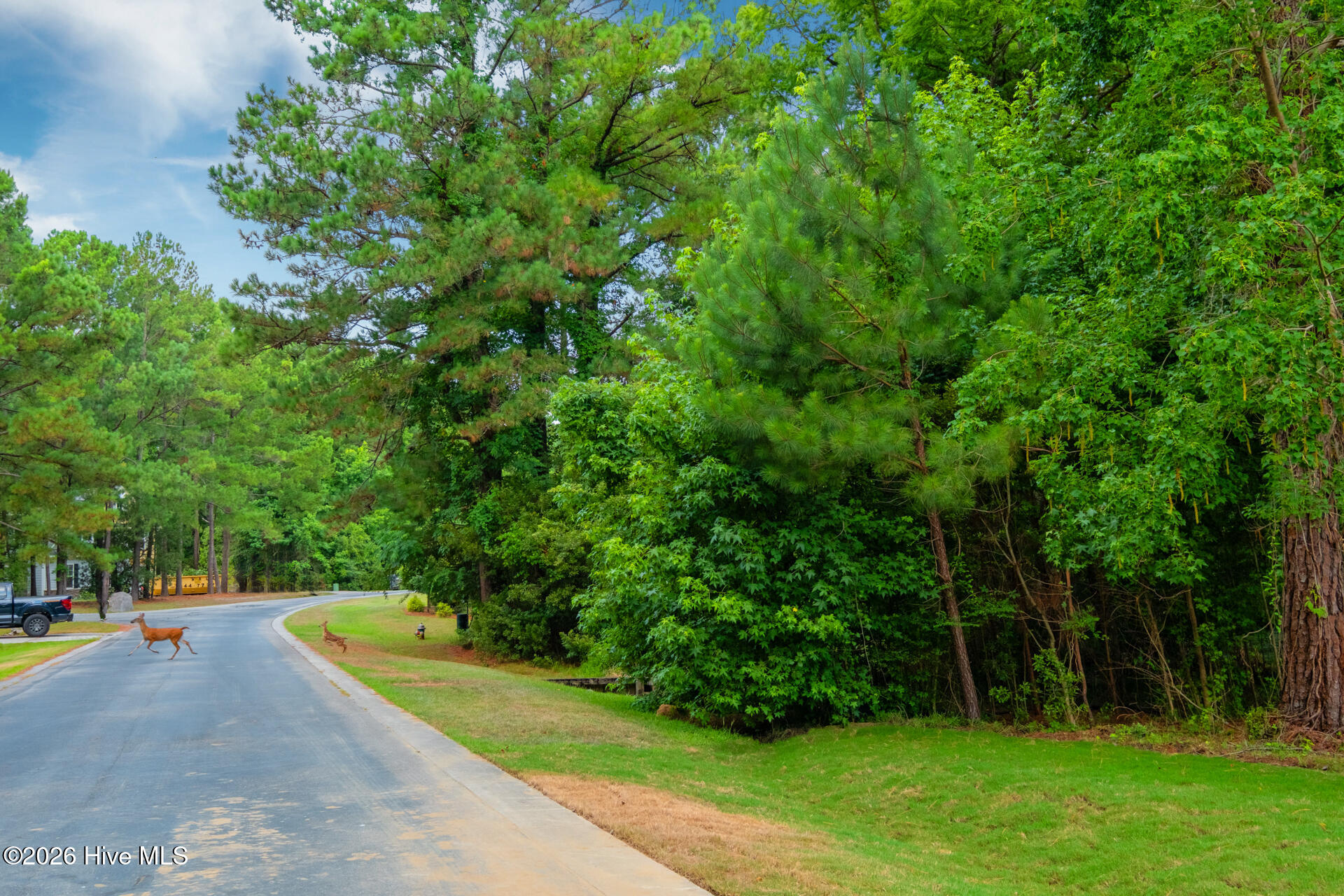 222 Iris Way Hampstead, NC 28443 - Photo 46 of 74