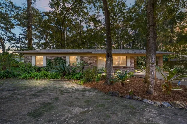 a view of a garden with a tree