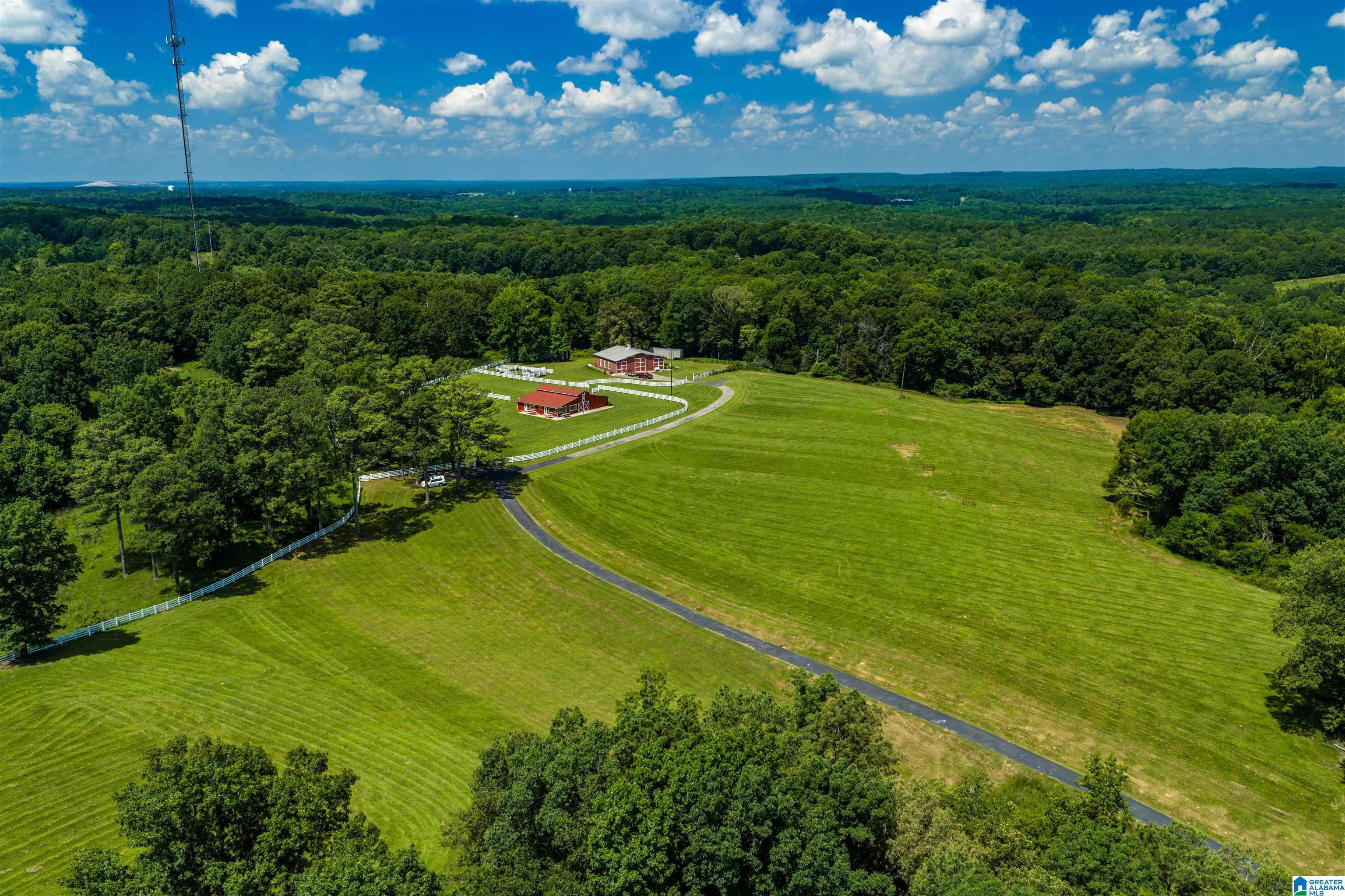 3640 Spring Creek Road Calera, AL 35040 - Photo 34 of 83