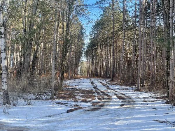 $115,000 | Tyler Road, Lakeview, MI 48850