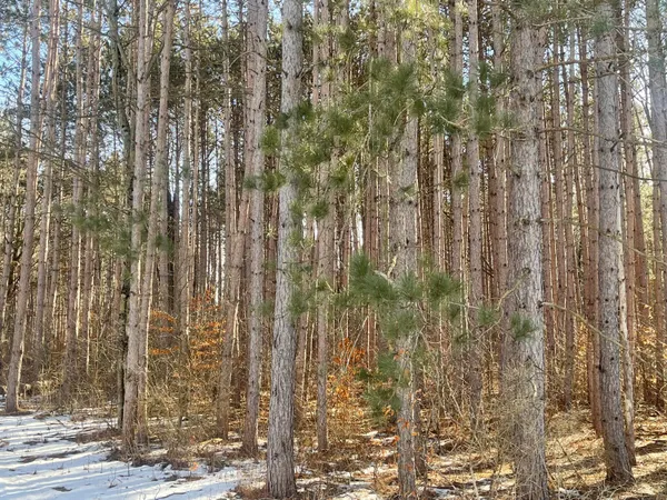 $115,000 | Tyler Road, Lakeview, MI 48850