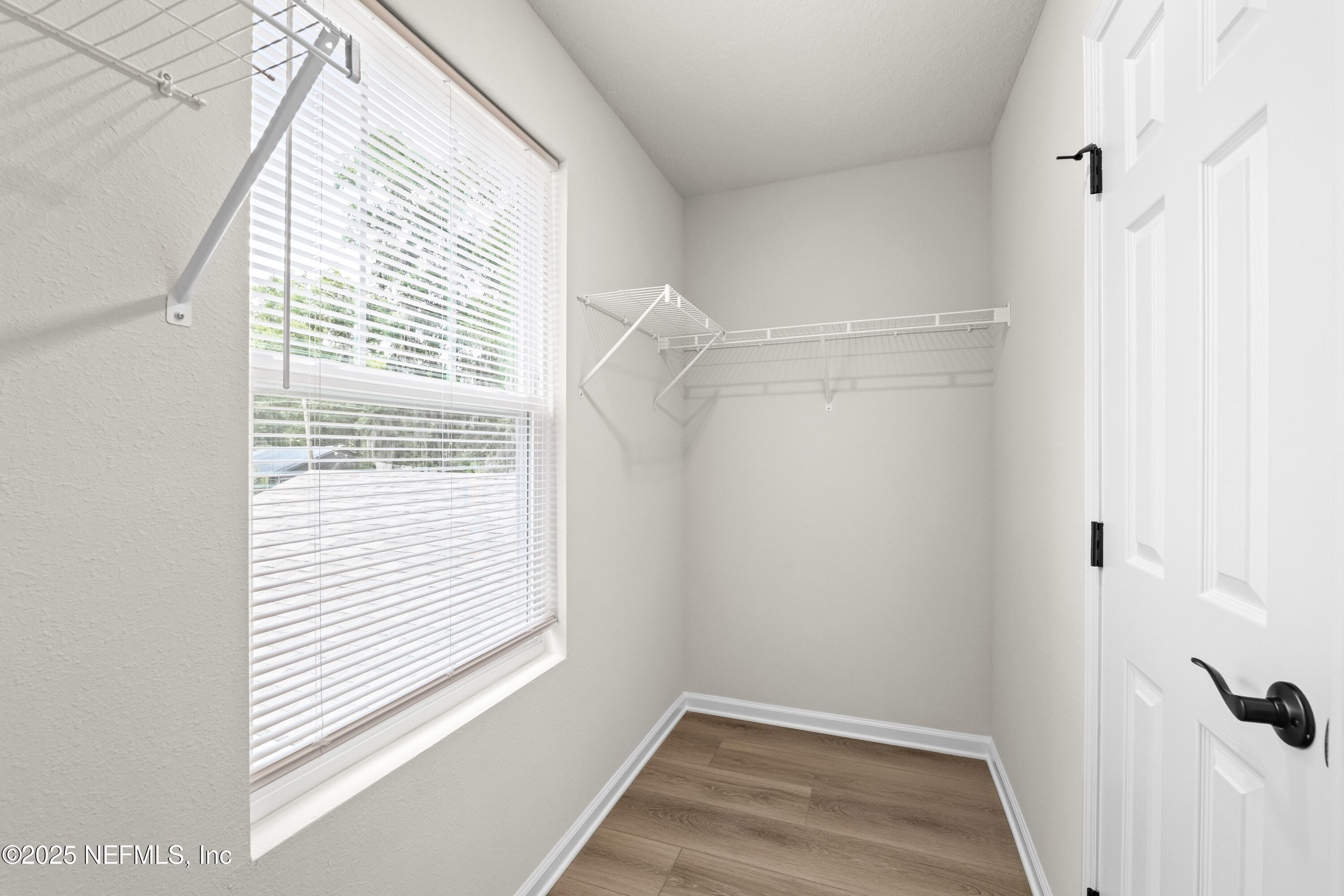 5133 Cruz Road Jacksonville, FL 32207 - Photo 29 of 31 P1273402.jpg-FULL