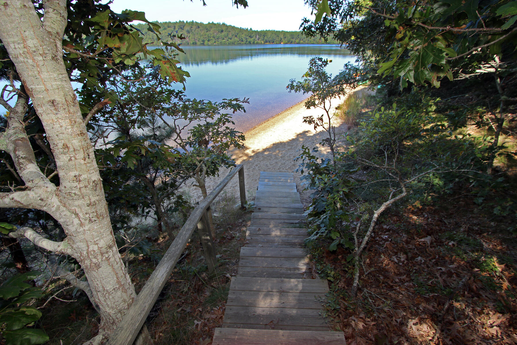 15 Samoset Road Brewster, MA 02631 - Photo 33 of 43 Sheeps Pond