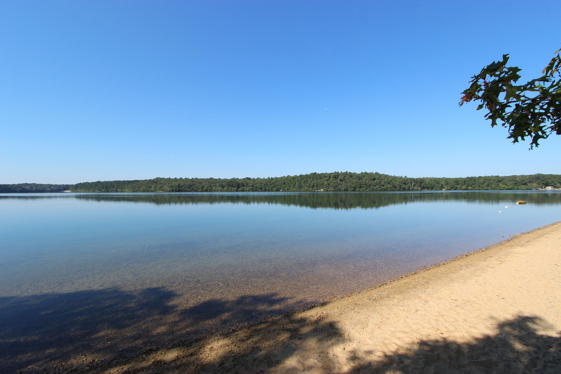 15 Samoset Road Brewster, MA 02631 - Photo 34 of 43 Sheeps Pond