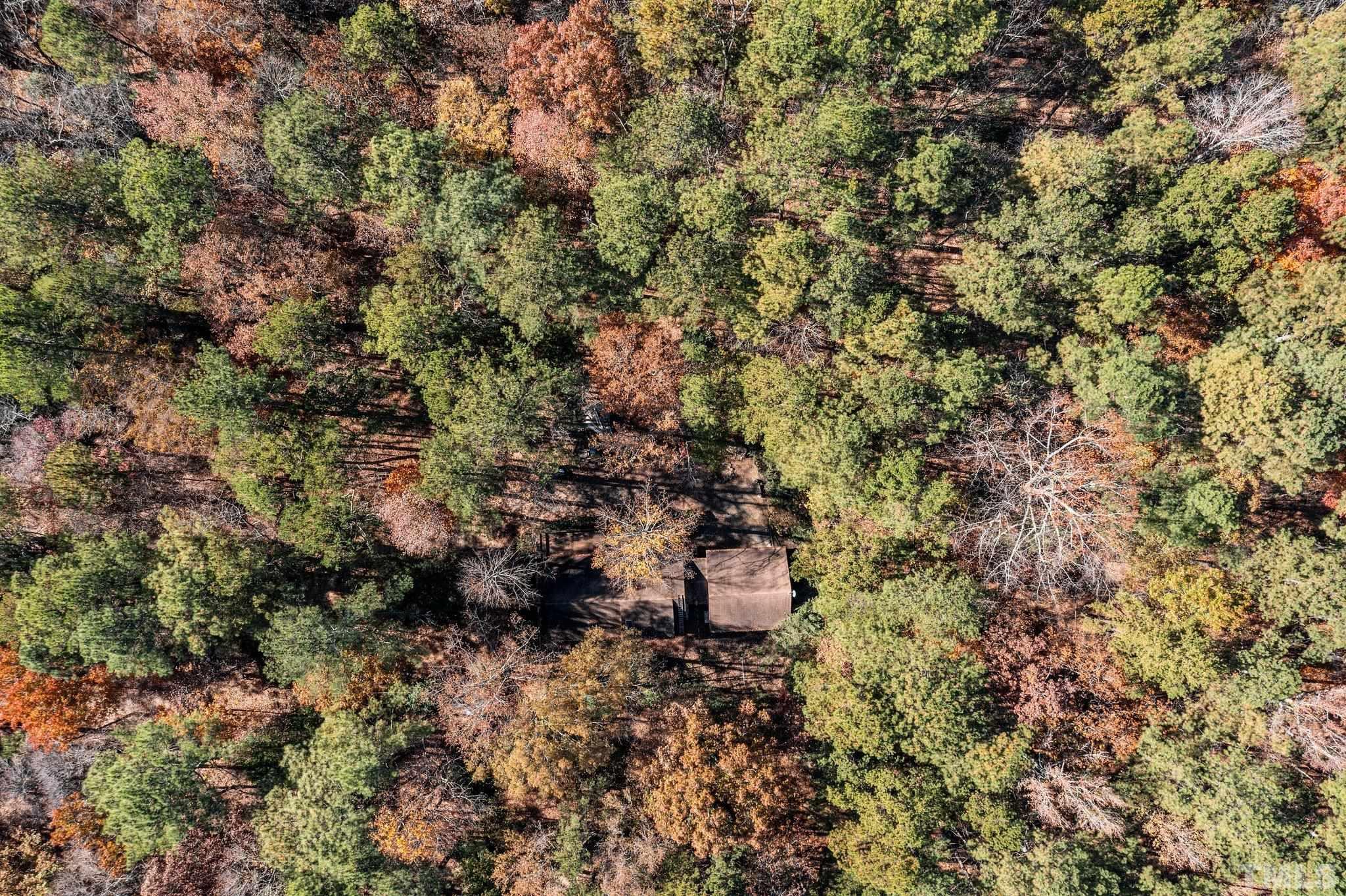 300 Rabbit Run Pittsboro, NC 27312 - Photo 31 of 38 a view of a forest