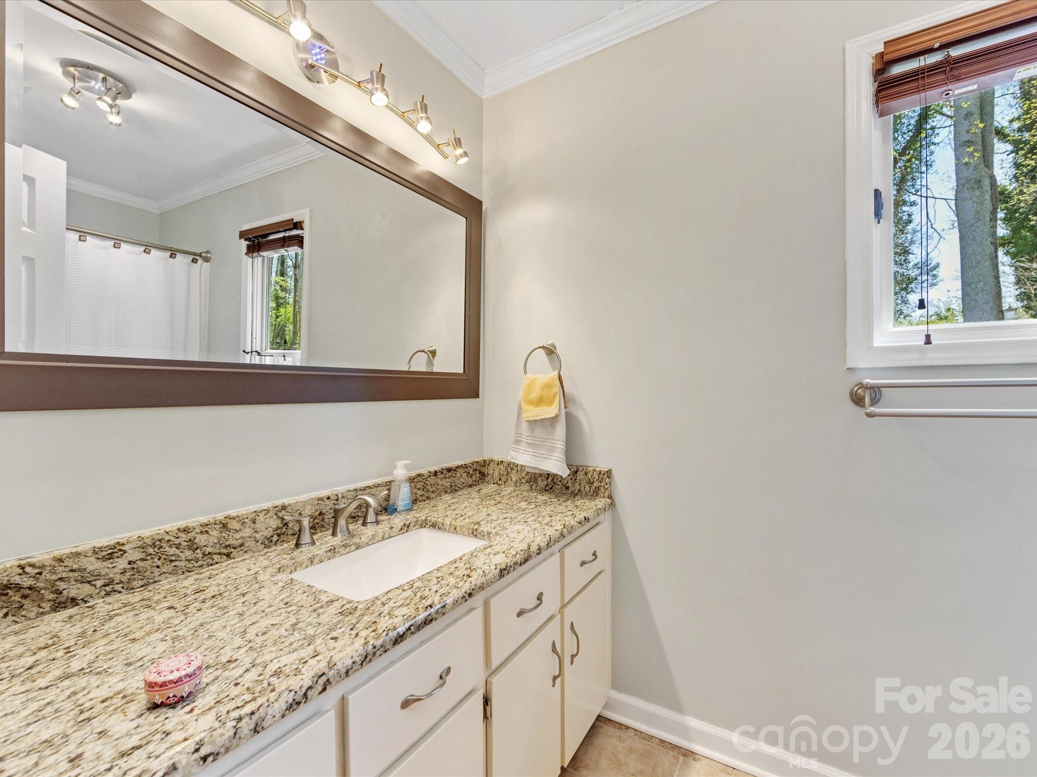 3489 Lake Shore Road South Denver, NC 28037 - Photo 18 of 31 a bathroom with a granite countertop sink and a mirror