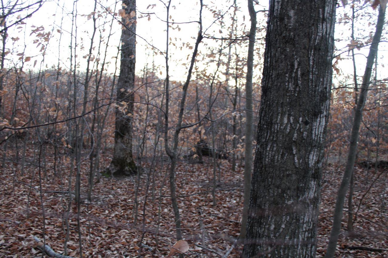 9396 Southwest Raspberry Ridge, Unit LOT: 7 Fife Lake, MI 49633 - Photo 79 of 86