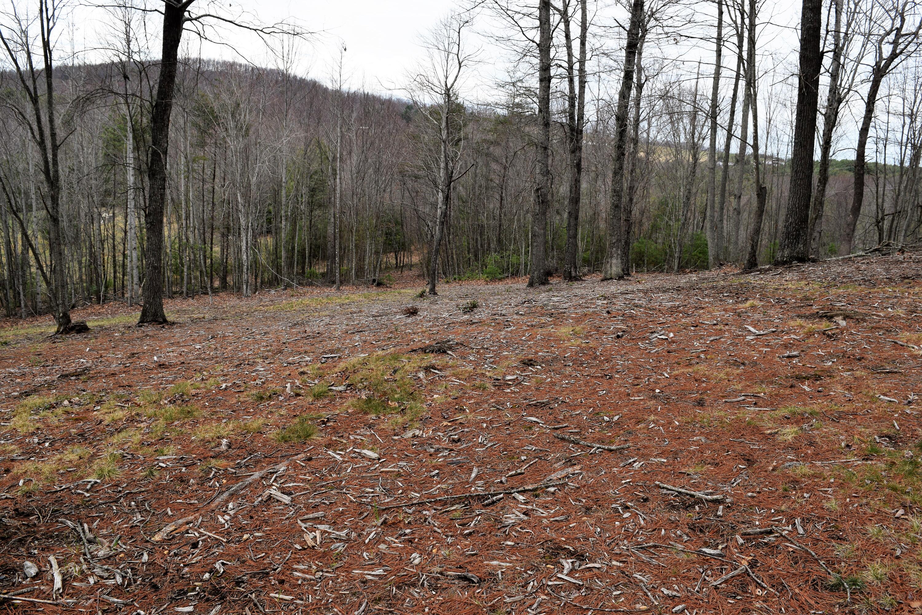 239 Teaberry Lane Northwest Riner, VA 24149 - Photo 45 of 50 44