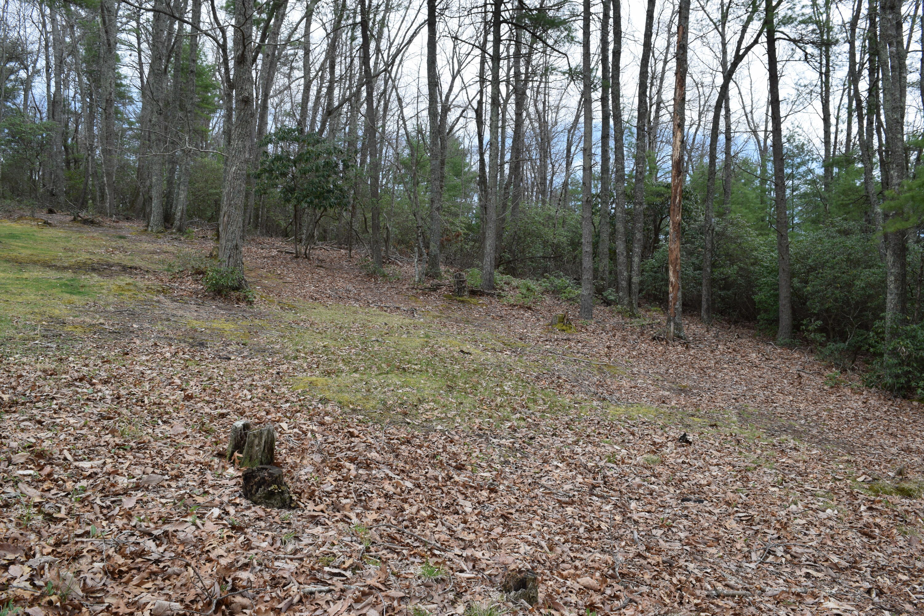 239 Teaberry Lane Northwest Riner, VA 24149 - Photo 49 of 50 48