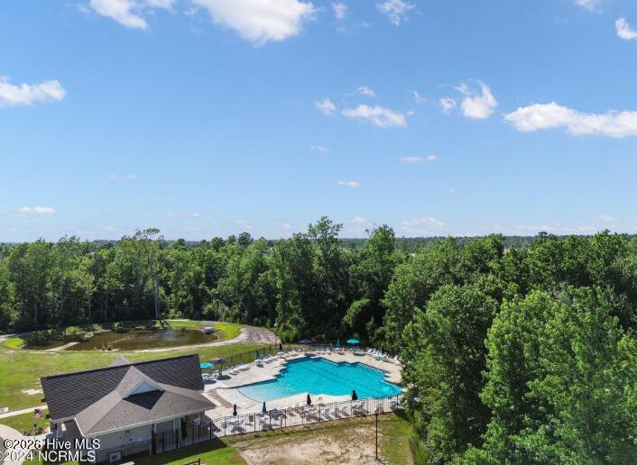 8372 Paramount Point Leland, NC 28479 - Photo 6 of 36 Pool 1