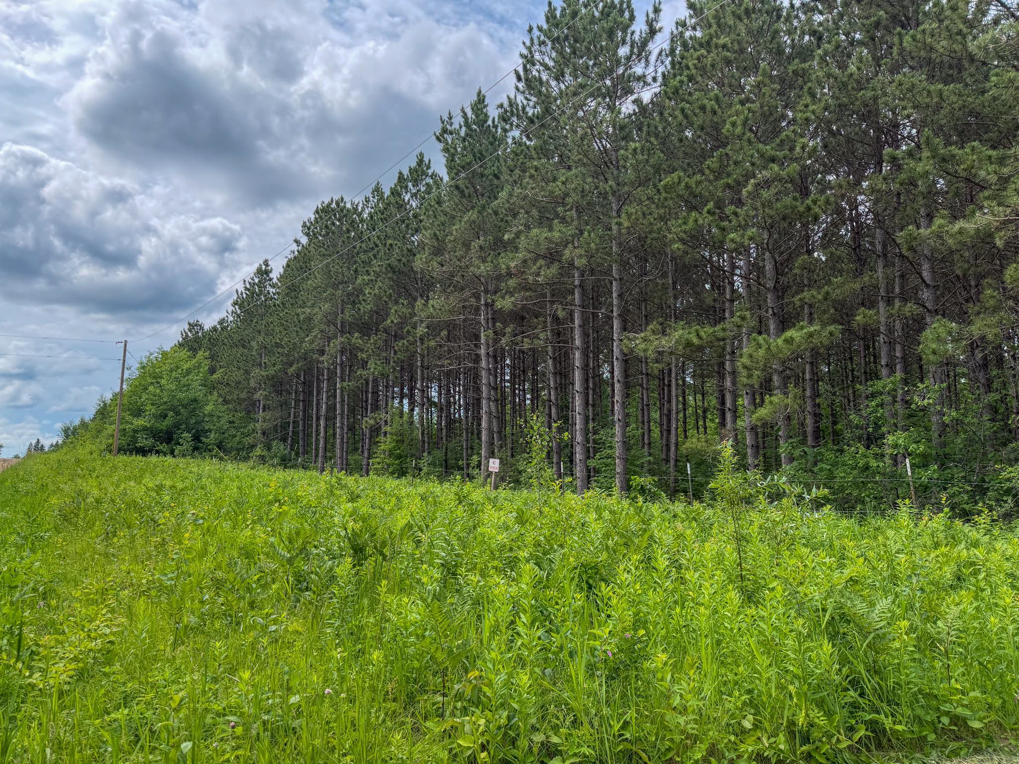 80-acres Pike Bay Loop Road Northwest Cass Lake, MN 56633 - Photo 22 of 27