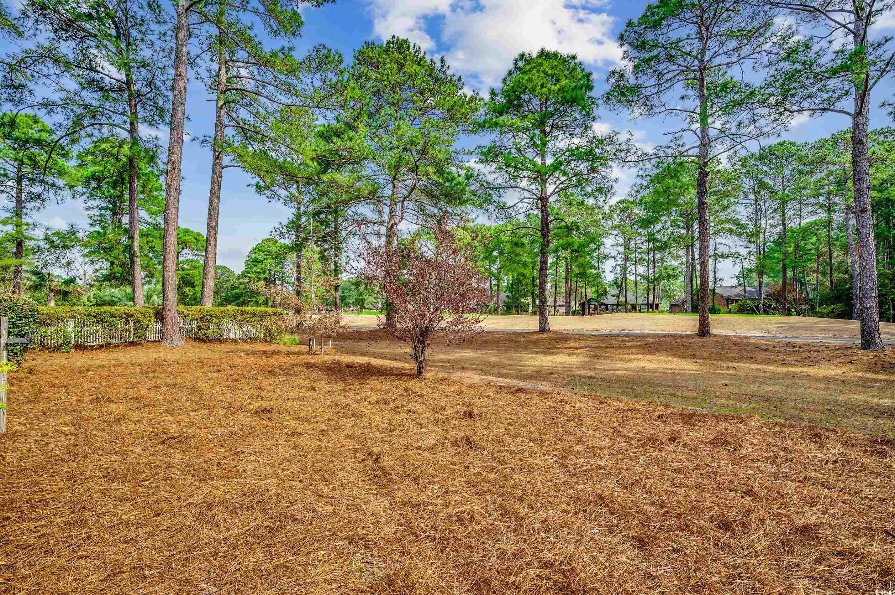 8263 Timber Ridge Road Conway, SC 29526 - Photo 33 of 38 Gallery Image 33