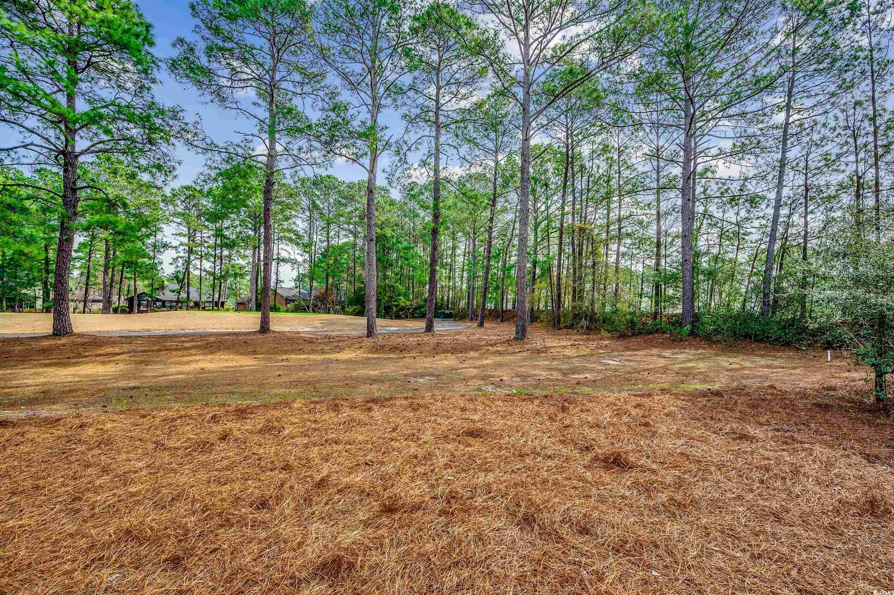 8263 Timber Ridge Road Conway, SC 29526 - Photo 34 of 38 Gallery Image 34
