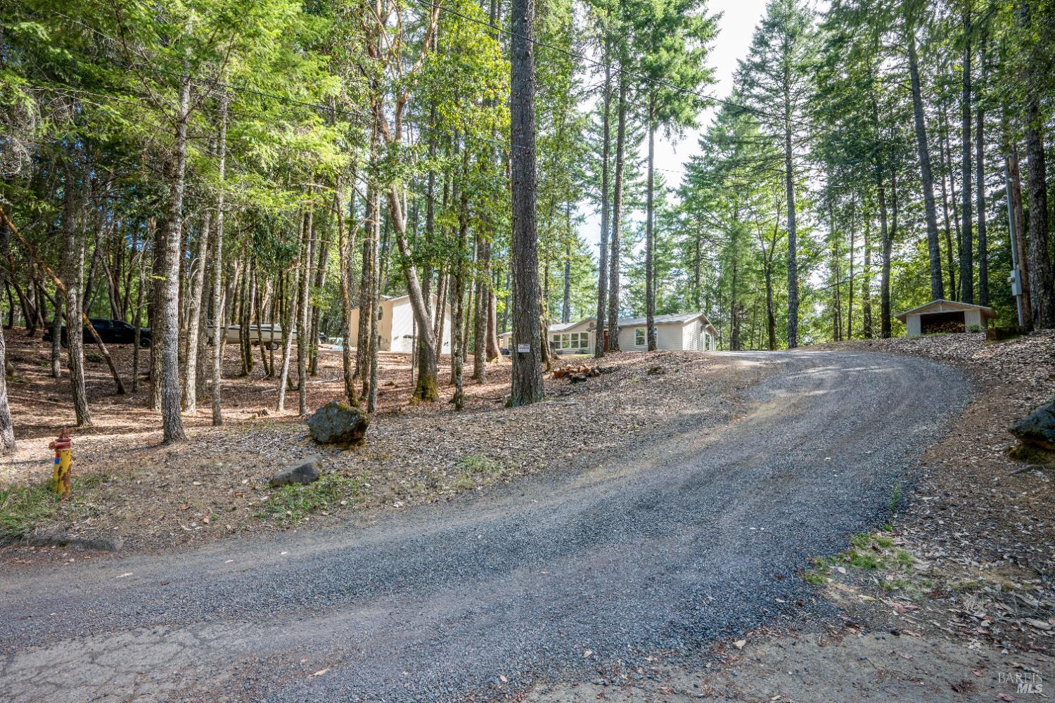 22945 Ridge Road Willits, CA 95490 - Photo 41 of 48 a view of a yard with trees in the background
