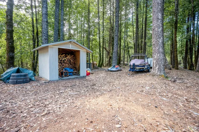 a view of outdoor space with lots of trees